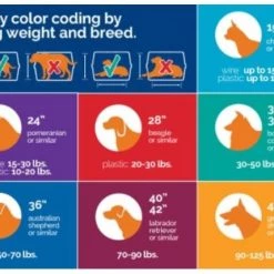 Petmate Precision Pet 2 Door Wire Crate -Outlet Farm & Pet Store 8012307 6