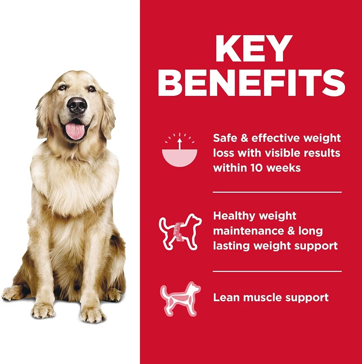 Science Diet Perfect Weight, 28.5 lb bag 4 Science Diet Perfect Weight, 28.5 lb bag - Image 4