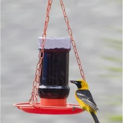 Perky-Pet Oriole Jelly Wild Bird Feeder -Outlet Farm & Pet Store 814kk7 lhxl. ac sl1500