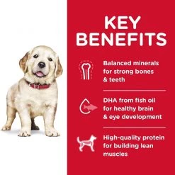 Science Diet Large Breed Puppy Lamb & Rice 33 lb. bag 13 Science Diet Large Breed Puppy Lamb & Rice 33 lb. bag -Outlet Farm & Pet Store 81617jm2hwl. ac sl1500