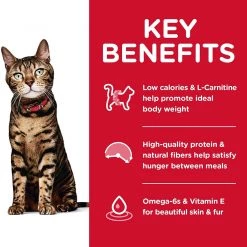 Hill's Science Diet Dry Cat Food, Adult, Light, Chicken Recipe - 16 lbs. -Outlet Farm & Pet Store 819hc3ycwxl. ac sl1500