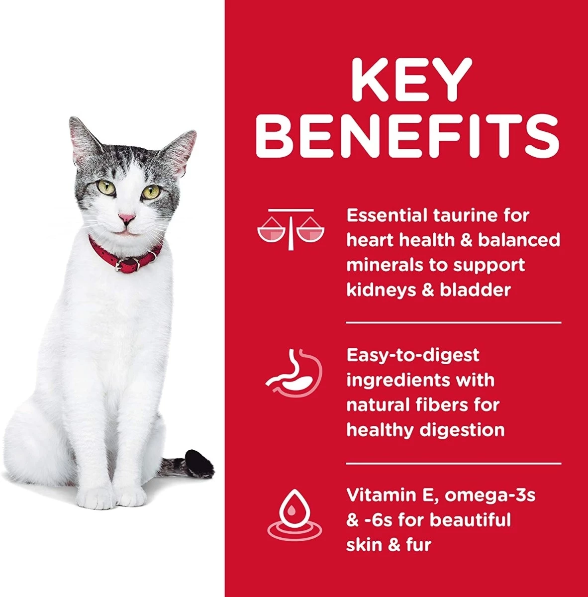 Science Diet Senior Age Defying, 3.5 lb. bag 8 Science Diet Senior Age Defying, 3.5 lb. bag - Image 8