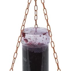 Perky-Pet Oriole Jelly Wild Bird Feeder