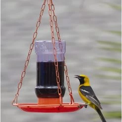 Perky-Pet Oriole Jelly Wild Bird Feeder 11 Perky-Pet Oriole Jelly Wild Bird Feeder -Outlet Farm & Pet Store 81hdwjxulbl. ac sl1500 1
