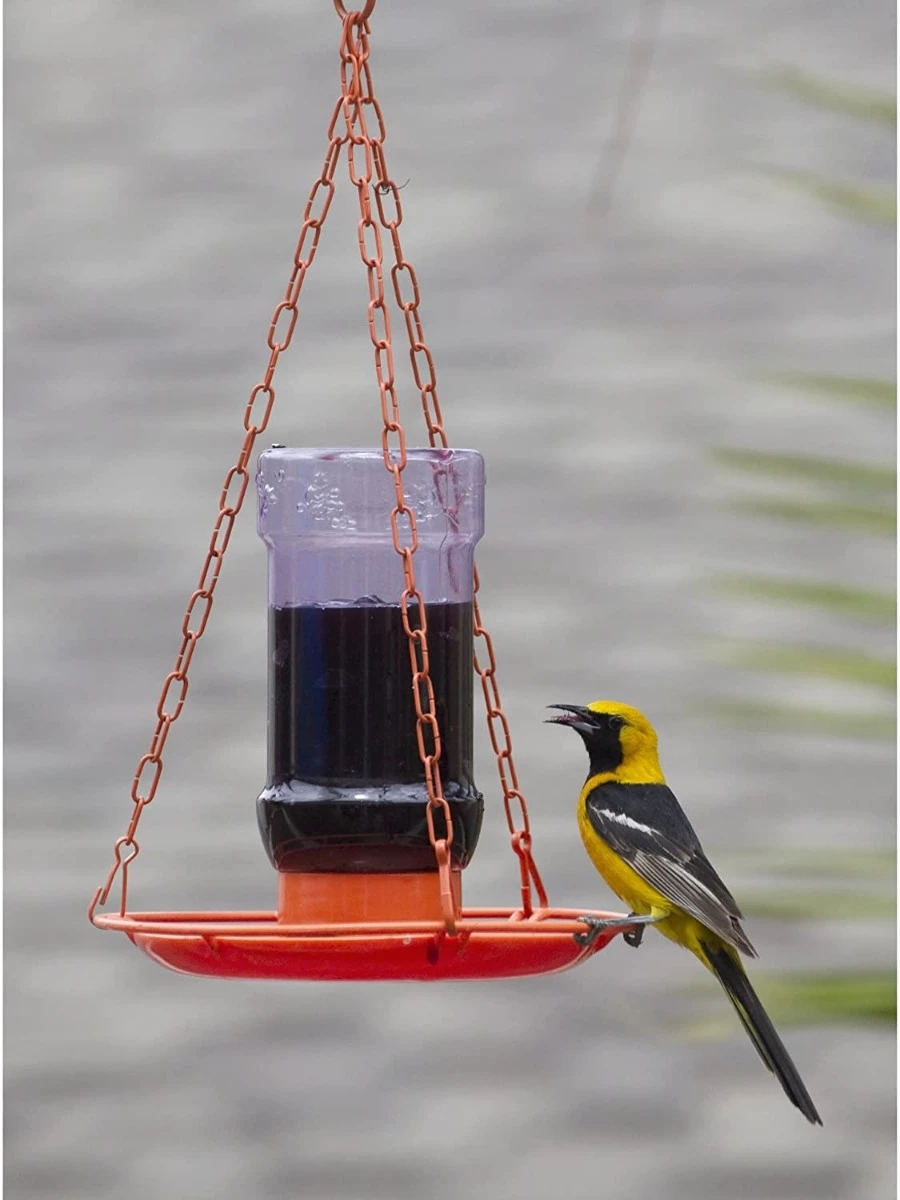 Perky-Pet Oriole Jelly Wild Bird Feeder 3 Perky-Pet Oriole Jelly Wild Bird Feeder - Image 3