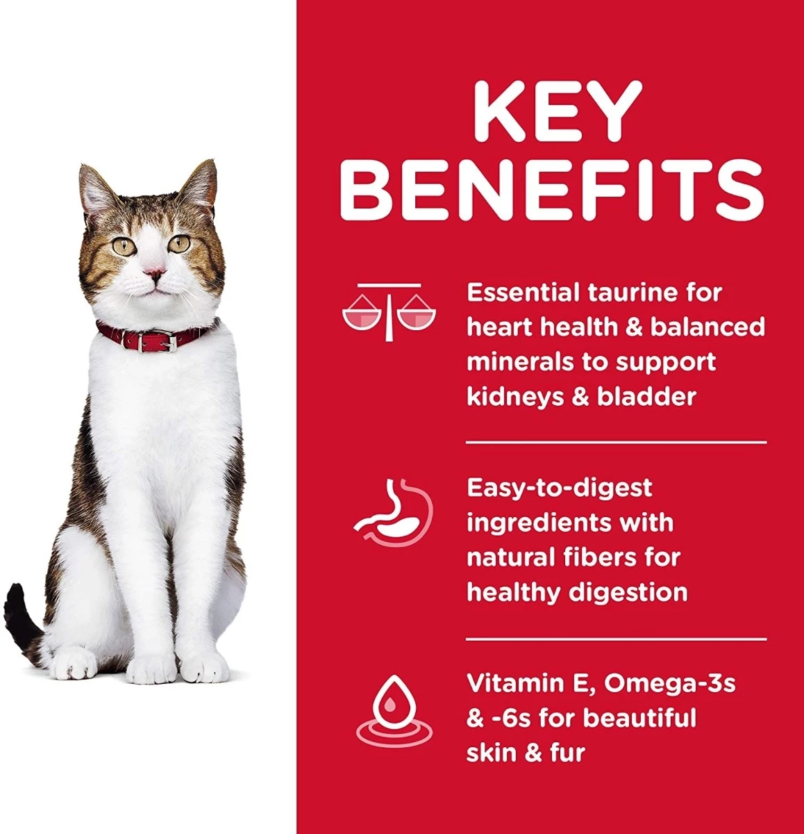 Hill's Science Diet Dry Cat Food, Adult 7+ senior, Chicken Recipe - 16 lbs. 4 Hill's Science Diet Dry Cat Food, Adult 7+ senior, Chicken Recipe - 16 lbs. - Image 4