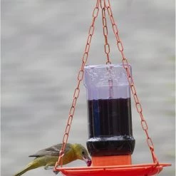 Perky-Pet Oriole Jelly Wild Bird Feeder -Outlet Farm & Pet Store 81oh1fxb0xl. ac sl1500