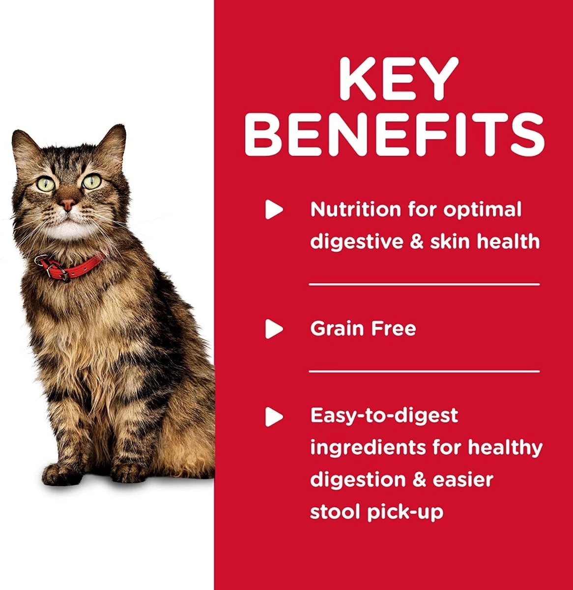 Hill's Science Diet Canned Foods for Sensitive Cats for Stomach and Skin, 2.9 oz. 3 Hill's Science Diet Canned Foods for Sensitive Cats for Stomach and Skin, 2.9 oz. - Image 3