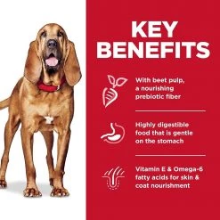 Hill's Science Diet Adult Sensitive Stomach & Skin Large Breed Dog Food - 30 lb -Outlet Farm & Pet Store 81qvlrs54bl. ac sl1500 1