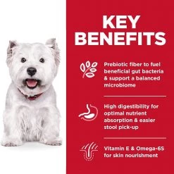 Hill's Science Diet Adult Sensitive Stomach & Skin Small Bites Dog Food - 4 lb -Outlet Farm & Pet Store 81rgwzvqzbl. ac sl1500 1 1