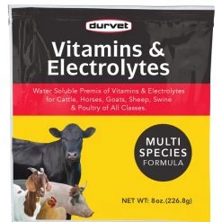 Vitamins and Electrolytes - 8oz