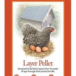 Country Companion® Layer Pellet 16% - 50 lbs