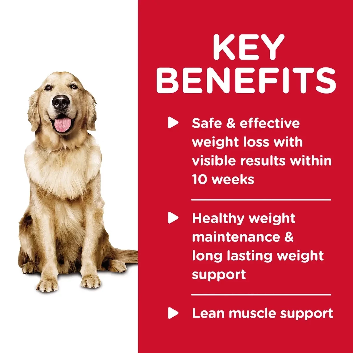 Hill's Science Diet Adult Perfect Weight Hearty Vegetable & Chicken Stew Canned Dog Food, 12.5 oz 5 Hill's Science Diet Adult Perfect Weight Hearty Vegetable & Chicken Stew Canned Dog Food, 12.5 oz - Image 5