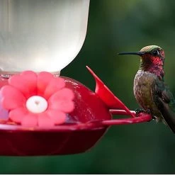 Perky-Pet® “Perky’s Finest” Red Flower Top Fill Plastic Hummingbird Feeder - 16 oz Nectar Capacity 6 Perky-Pet® “Perky’s Finest” Red Flower Top Fill Plastic Hummingbird Feeder - 16 oz Nectar Capacity -Outlet Farm & Pet Store bf us 135tf 3