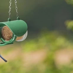 Flutter Butter Feeder -Outlet Farm & Pet Store c9ee03 cc17bfefa5e54be78b35fa6a6007ffeb mv2 1