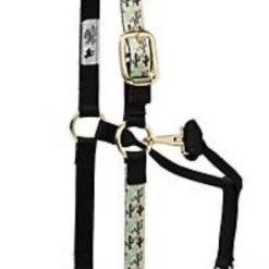 Weaver Pattern Adjustable 1" Halter 5 Weaver Pattern Adjustable 1" Halter -Outlet Farm & Pet Store cactus 1