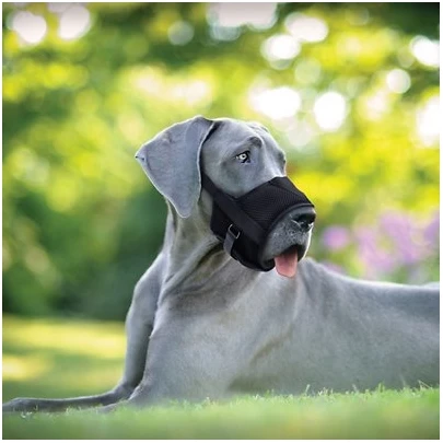 Coastal Pet Products Best Fit Adjustable Comfort Dog Muzzle, Black 2 Coastal Pet Products Best Fit Adjustable Comfort Dog Muzzle, Black - Image 2