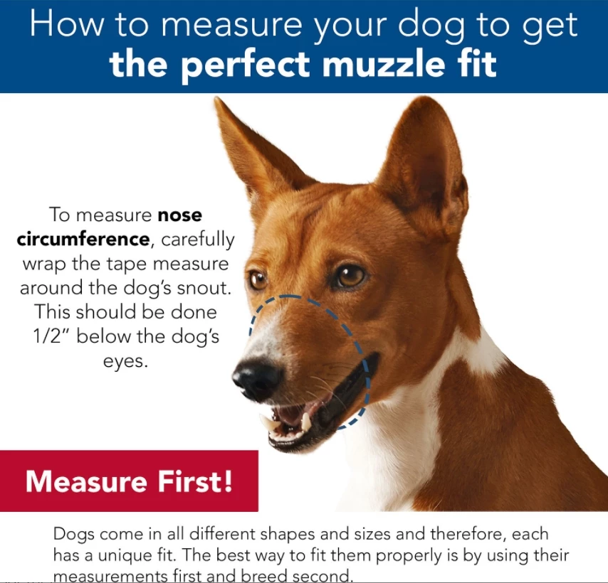 Coastal Pet Products Best Fit Adjustable Comfort Dog Muzzle, Black 4 Coastal Pet Products Best Fit Adjustable Comfort Dog Muzzle, Black - Image 4