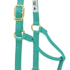 Weaver Original Small Non-Adjustable Halter -Outlet Farm & Pet Store emerald