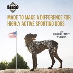 Diamond Premium Adult Formula Dry Dog Food - 50 LB -Outlet Farm & Pet Store german shorthaired pointer standing on hay bale 121420 2