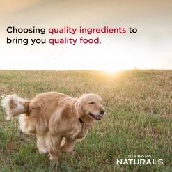 Diamond Naturals Extreme Athlete Dog Food – 40 lbs 9 Diamond Naturals Extreme Athlete Dog Food – 40 lbs -Outlet Farm & Pet Store golden retriever running 032221 4
