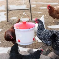 Farm Innovators Heated 2 Gallon Poultry Drinker -Outlet Farm & Pet Store hb 60p 4 1