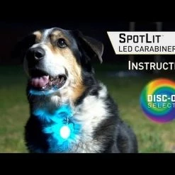 SpotLit Collar Light -Outlet Farm & Pet Store hqdefault 39 17