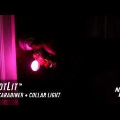 SpotLit Collar Light -Outlet Farm & Pet Store hqdefault 40 2