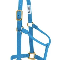 Weaver Original Small Non-Adjustable Halter -Outlet Farm & Pet Store hurricane blue
