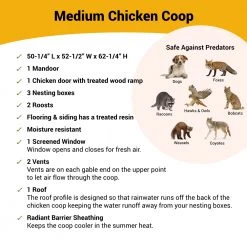 OverEZ American Model Medium Chicken Coop - Up to 10 Chickens -Outlet Farm & Pet Store image4 mediumcoop v2 1