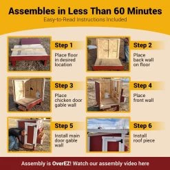 OverEZ American Model Medium Chicken Coop - Up to 10 Chickens -Outlet Farm & Pet Store image6 allcoops 1 1