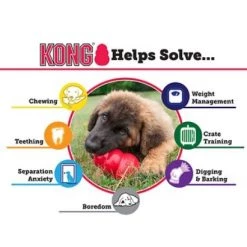 KONG Extreme Dog Toy, Large, Black -Outlet Farm & Pet Store k1 2