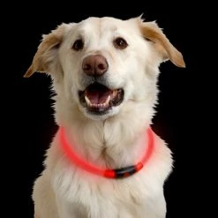 NiteHowl LED Safety Necklace