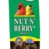 Wild Delight Nut N' Berry Bird Seed Block
