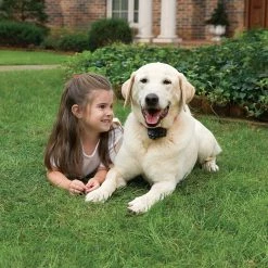 Petsafe Premium Wireless Fence -Outlet Farm & Pet Store pif 300 wireless fence kit lifestyle 1