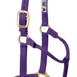Weaver Original Small Non-Adjustable Halter -Outlet Farm & Pet Store purple 3