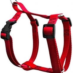 Scott Pet Adjustable Harness -Outlet Farm & Pet Store red
