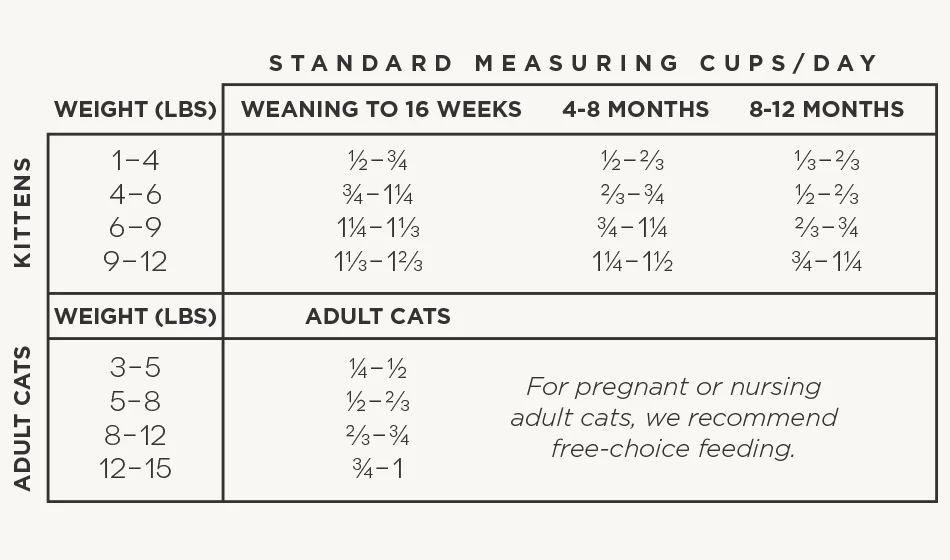 Wildology Cat Food - CLIMB, 6 Lbs 2 Wildology Cat Food - CLIMB, 6 Lbs - Image 2