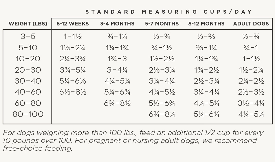Wildology Dog Food - HIKE, 8 lbs 2 Wildology Dog Food - HIKE, 8 lbs - Image 2